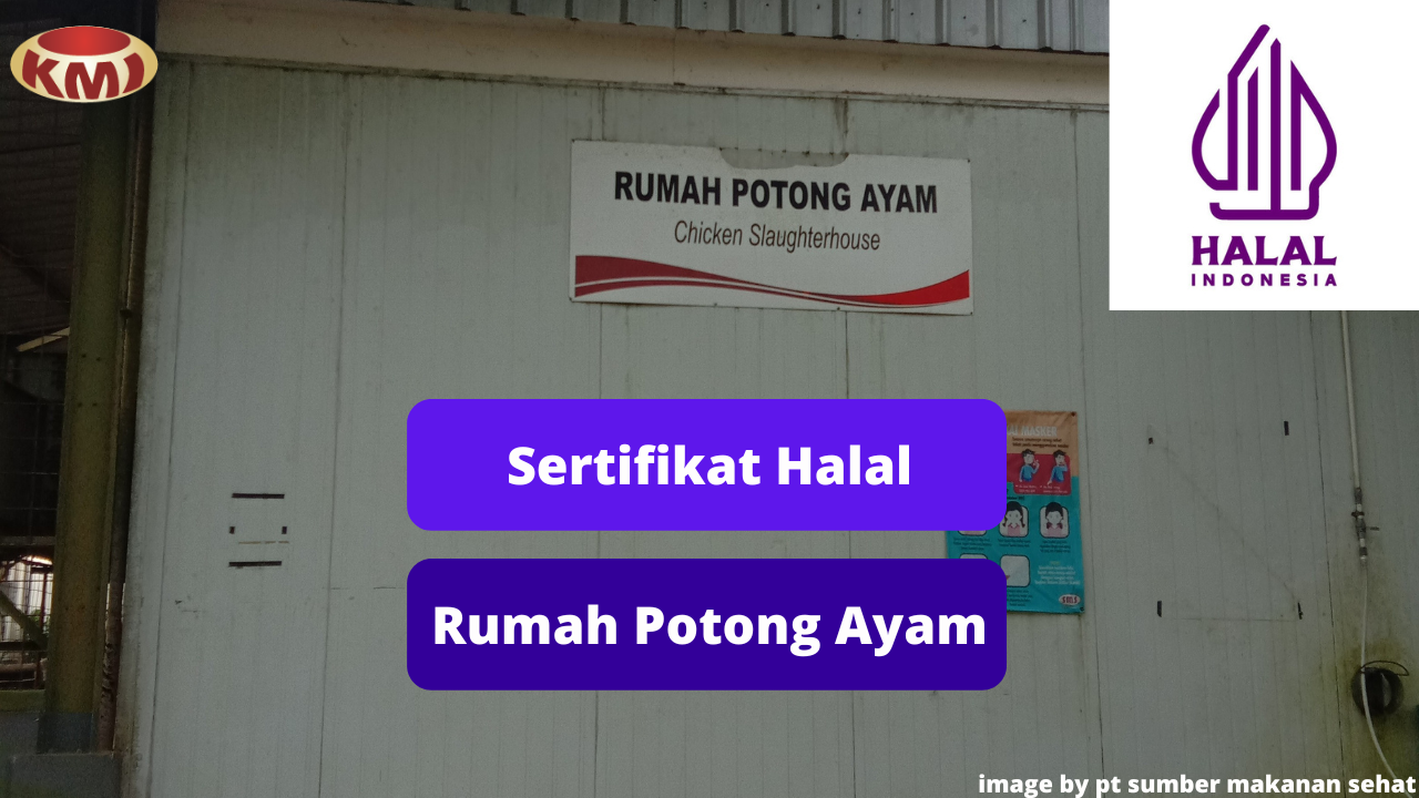 Berikut 4 Keuntungan Sertifikasi Halal di Rumah Potong Ayam (RPA)